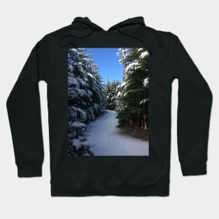 Twisting Winter Path Hoodie